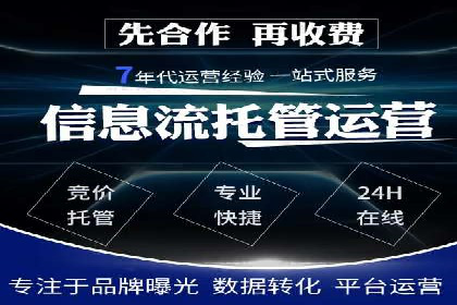 成功sem公司的策略与执行